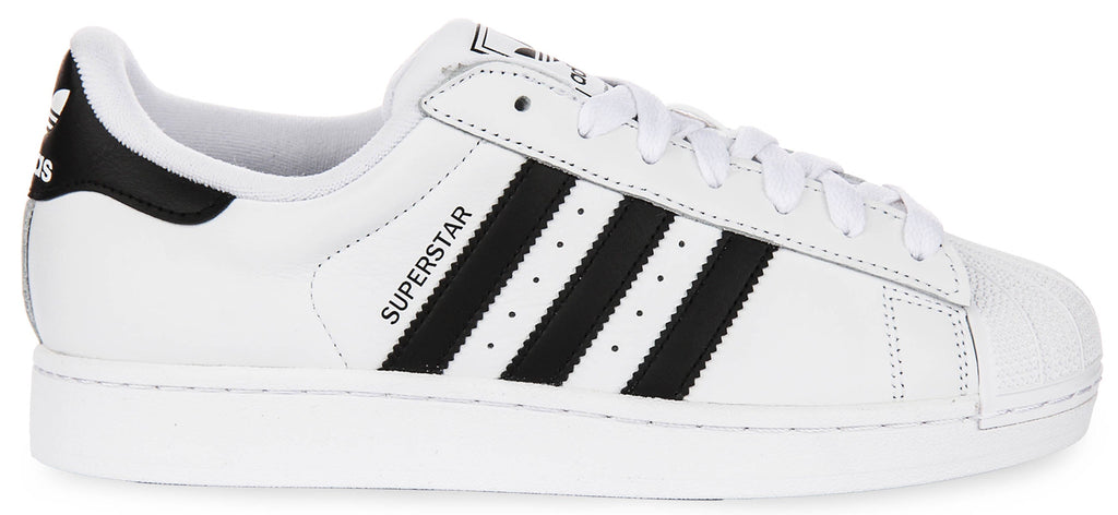 Adidas Superstar II In White Black
