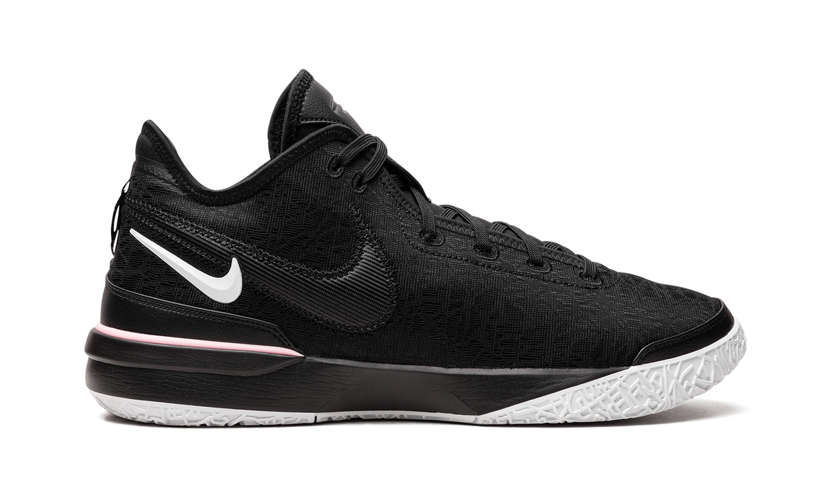 Nike Zoom LeBron NXXT Gen "Black/White" DR8784 003