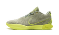 LeBron 21 "Algae" FV2345 302