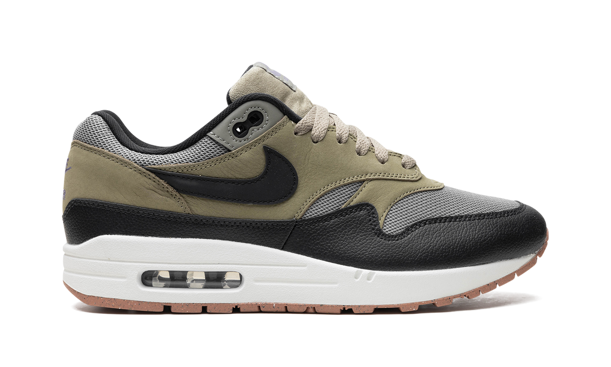 Air Max 1 "Dark Stucco" FB9660 003