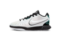LeBron 21 GS "Conchiolin" FZ7189 100